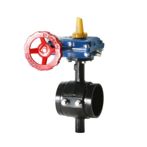 Ductile Tapped Butterfly Valve Grooved 300 PSI Ductile Tapped Butterfly Valve Grooved 300 PSI
