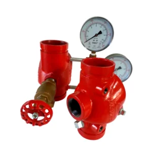 Riser Swing Check Valve Grooved