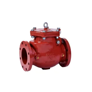 check valve