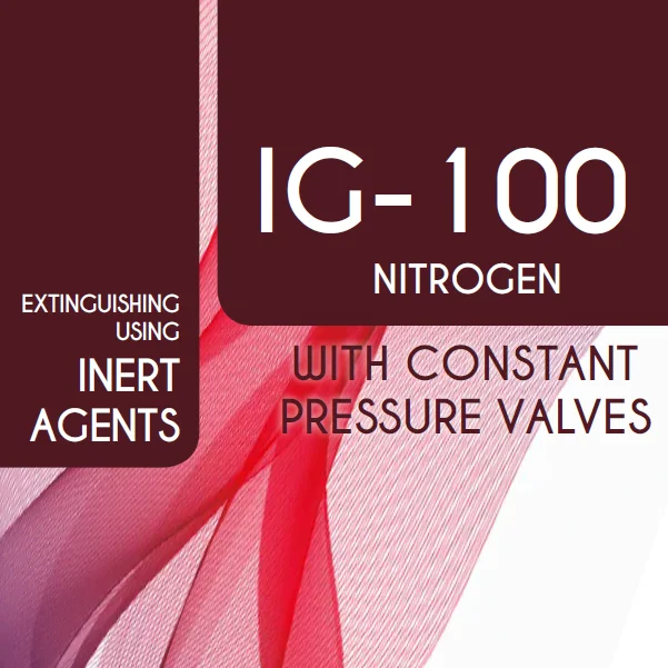 RG ig100
